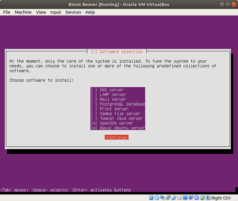 Select 'Basic Ubuntu Server' and 'OpenSSH Server'